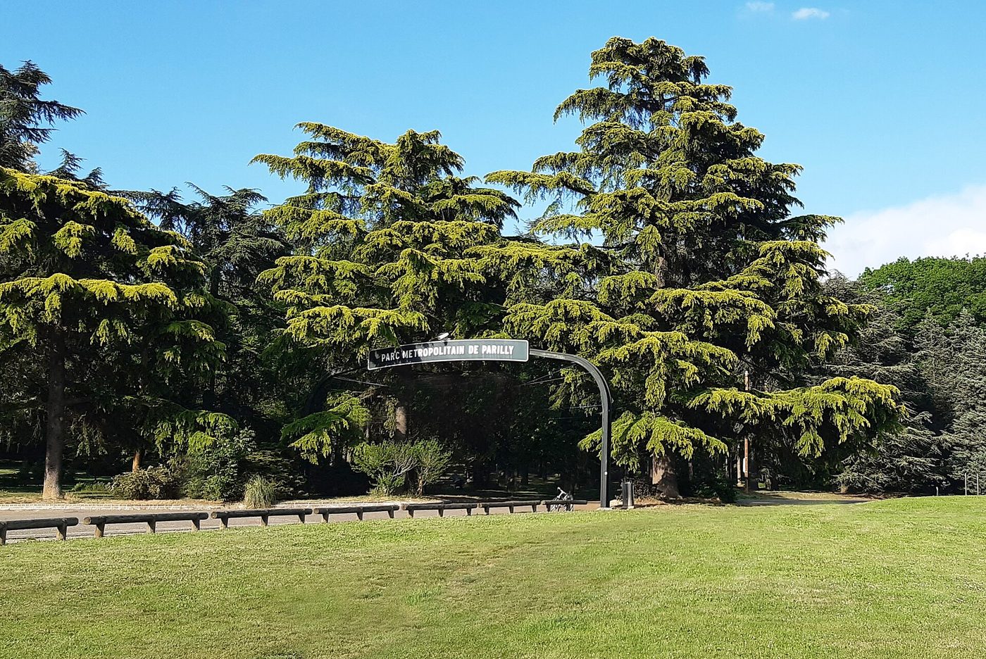 Allée arborée et arche paysagère du parc de Parilly à Lyon
